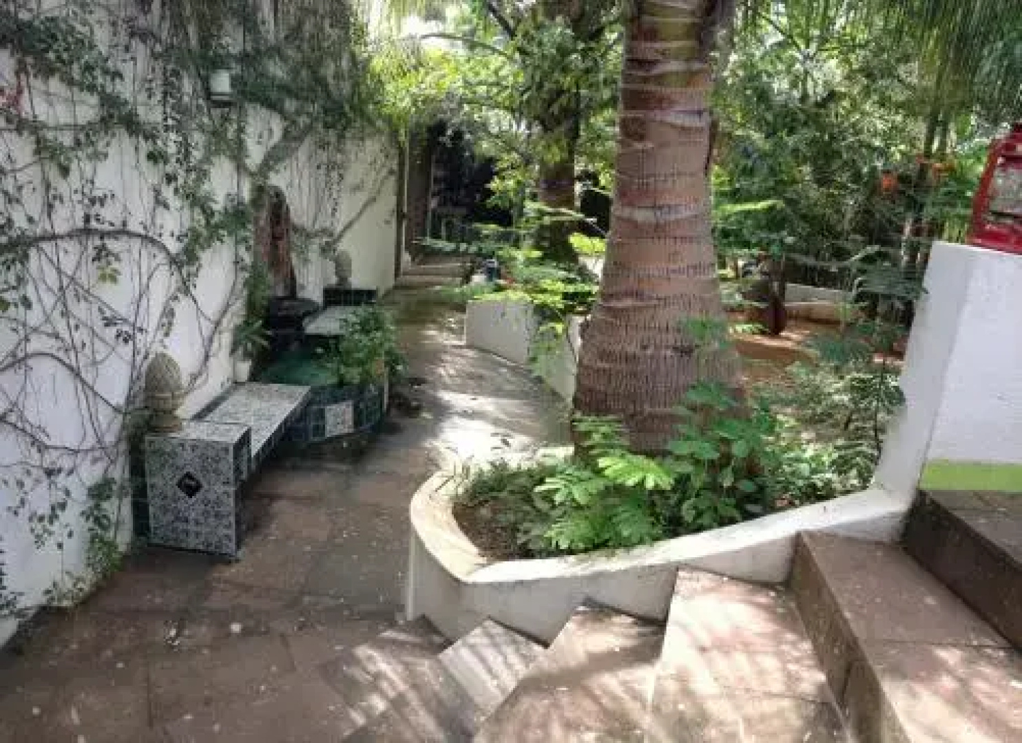 Casa Mocha