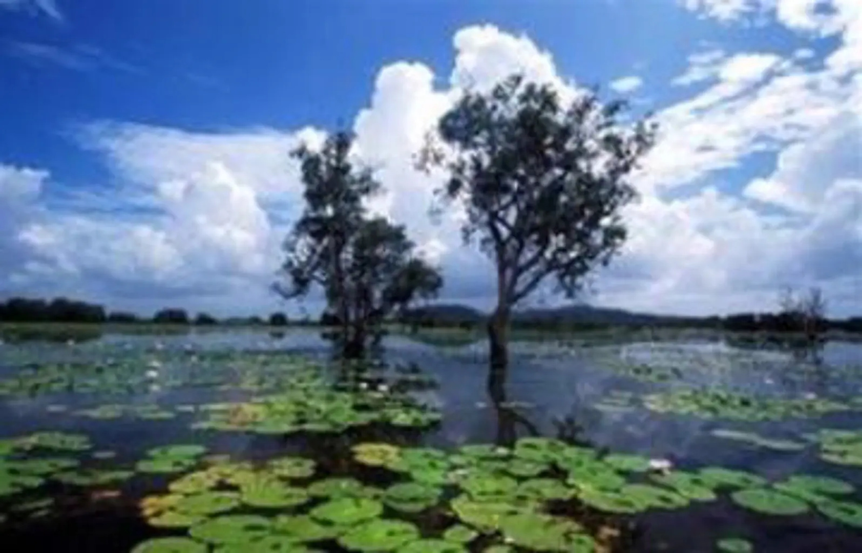 Davidson's Arnhemland Safaris