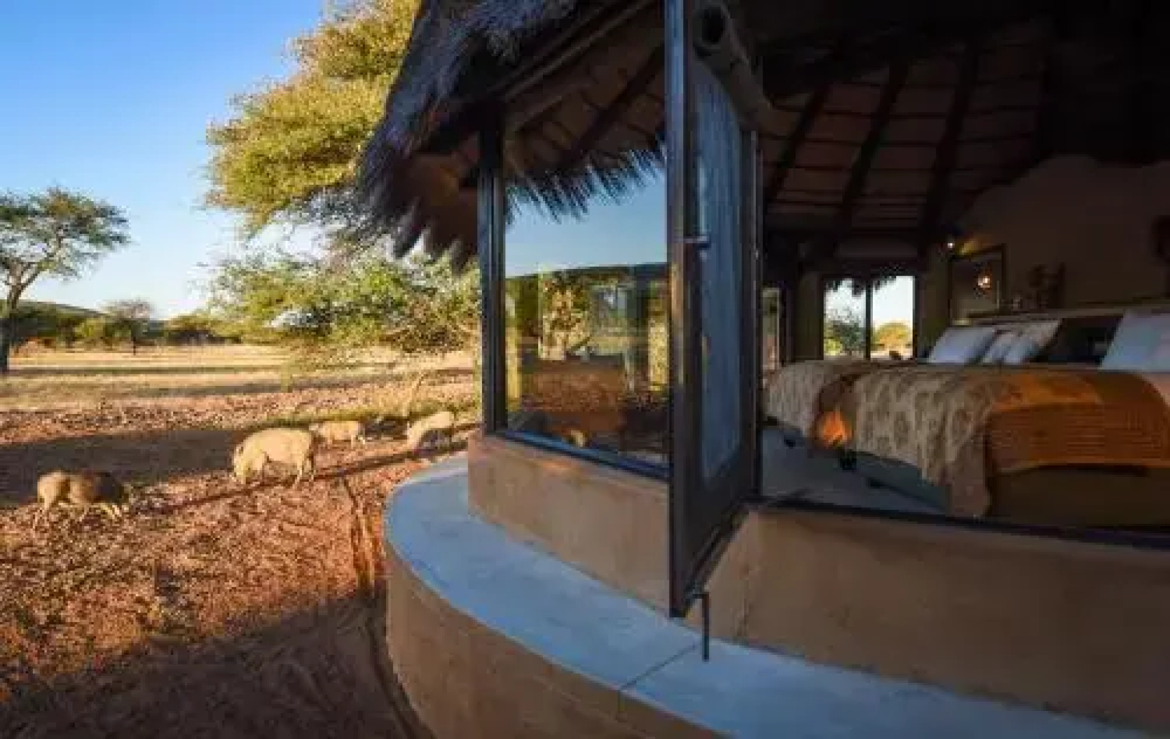 Okonjima Luxury Bush Camp