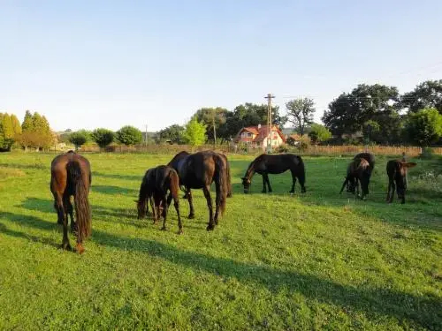Dominic Boutique, Little Barn , Cloasterf