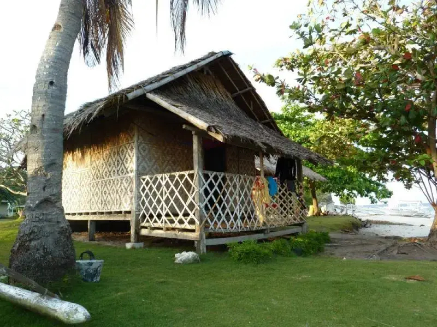 Junior and Nemesia Cottages