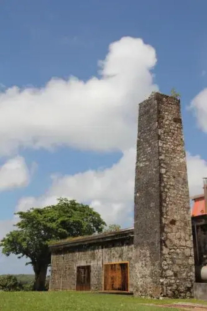 Villas Coco - Caraibes - les Palmiers -Hamak