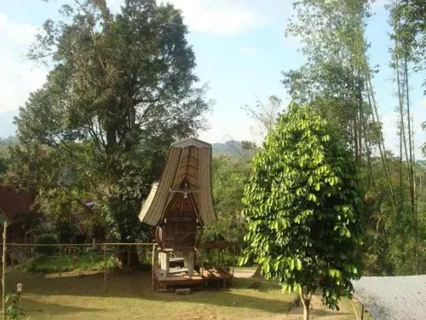 Tongkonan Layuk Lion