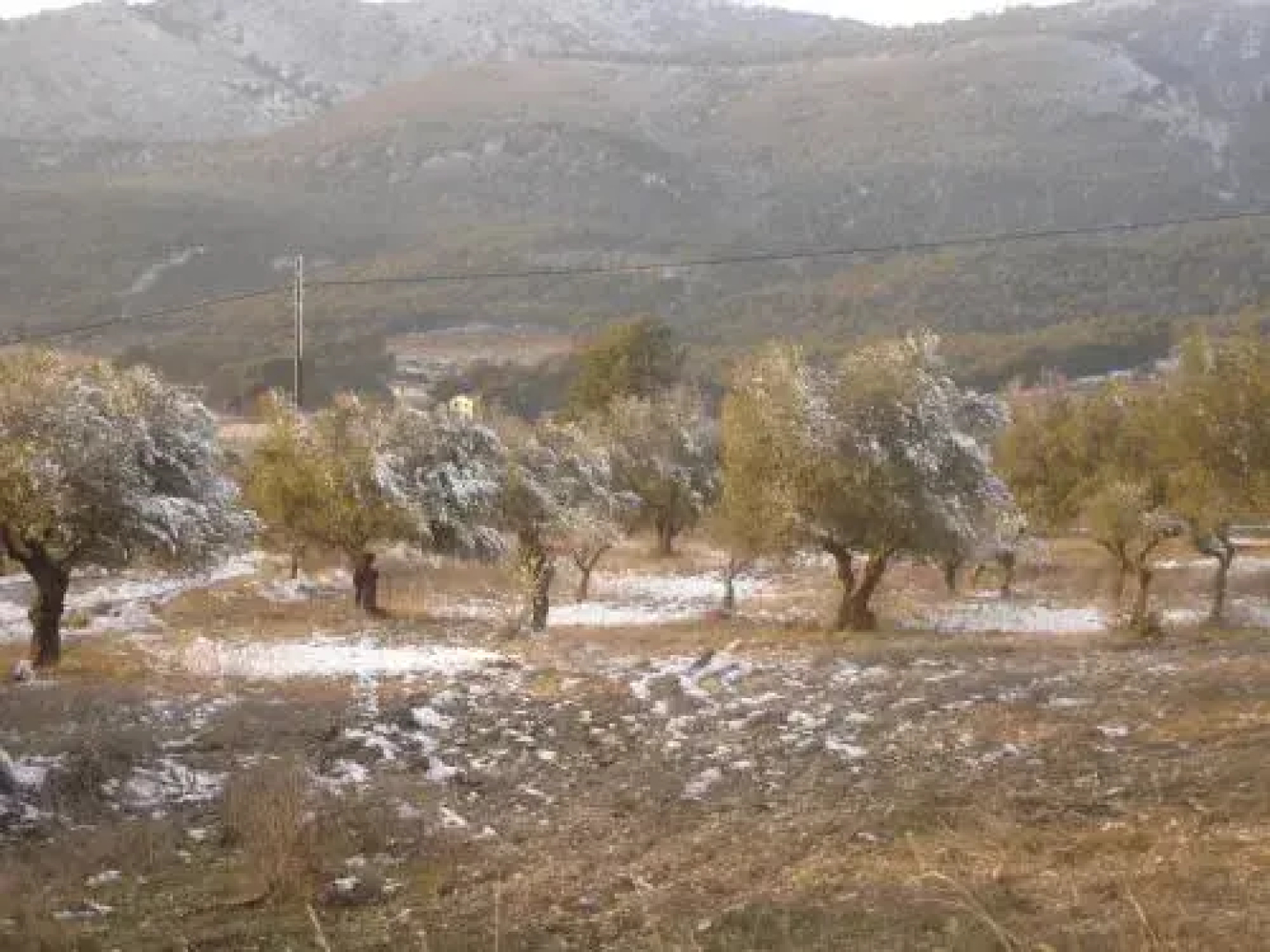 Casa Rural Masía Barbera