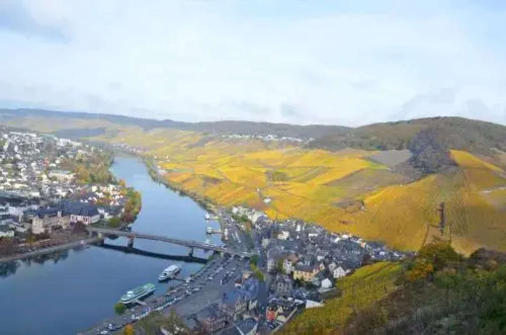 Moselle Rose
