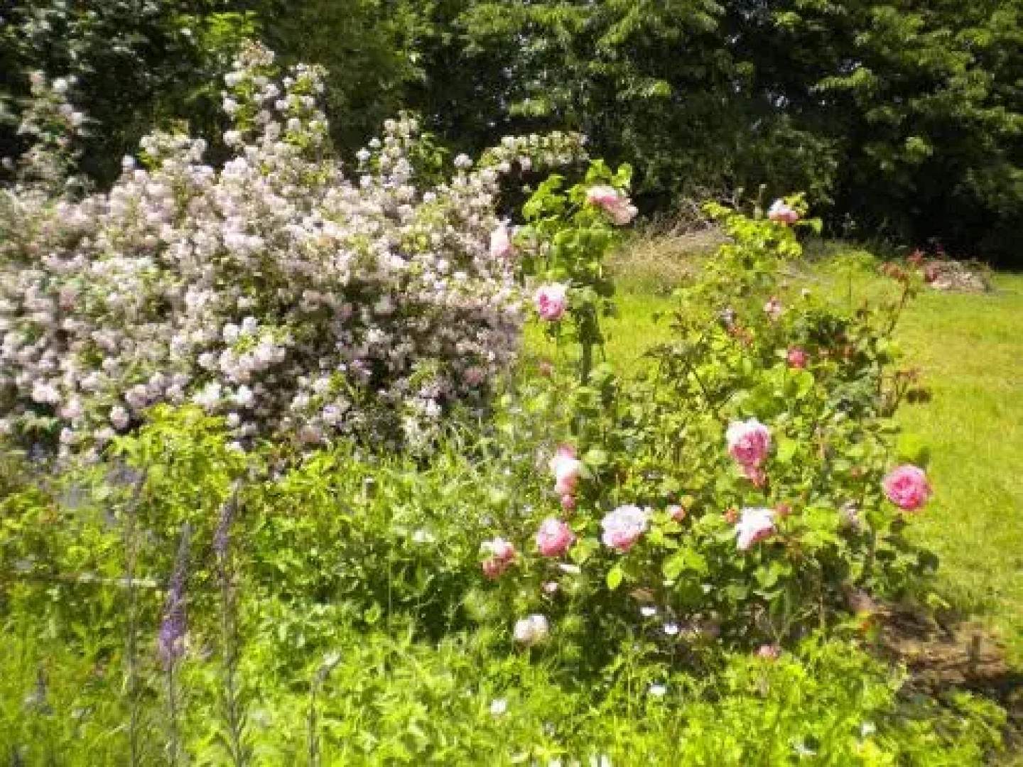 Chambre dHôtes Douceurs Périgourdines