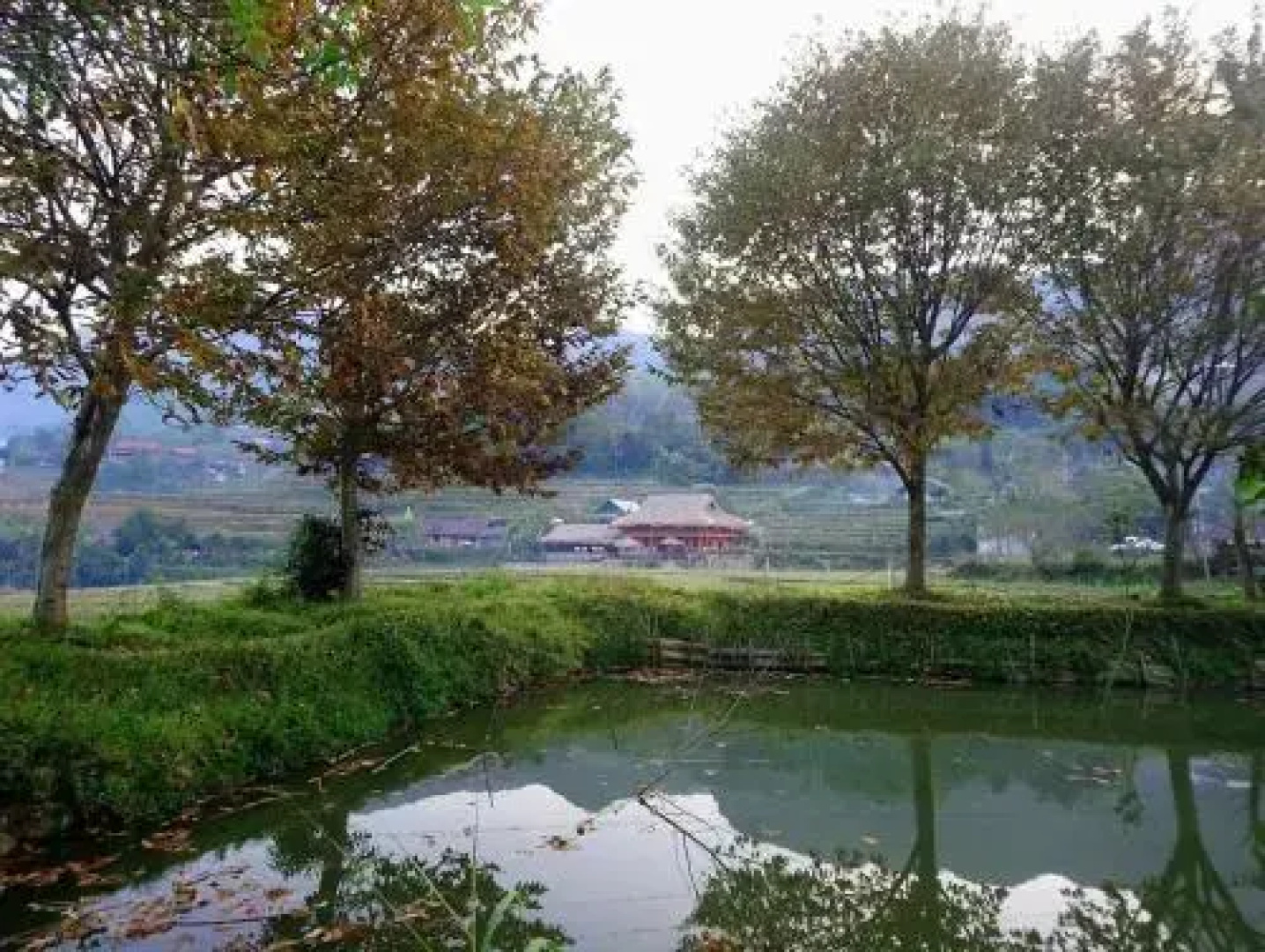 Ta Van Homestay