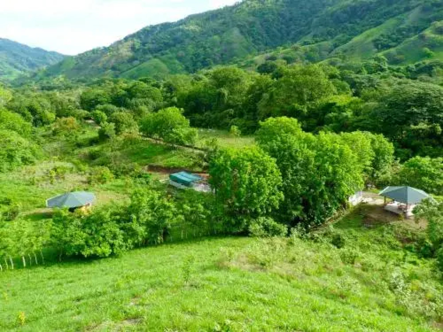 Finca Cantarana