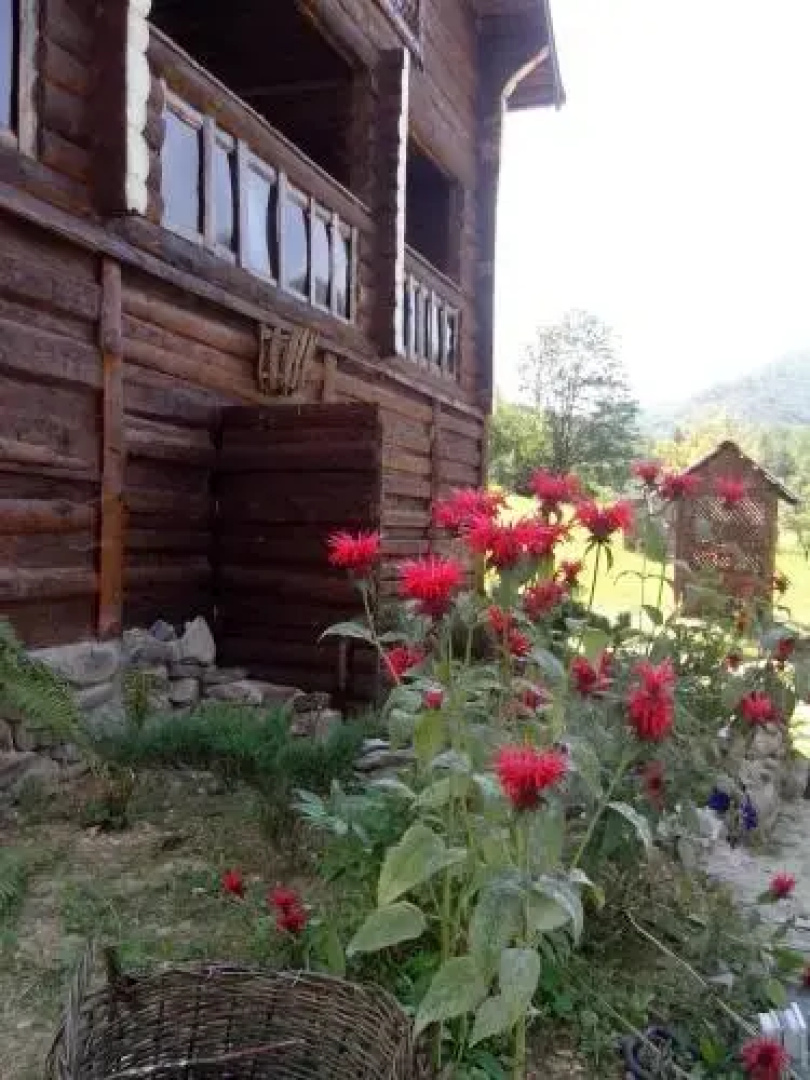 Zelenyj Raj