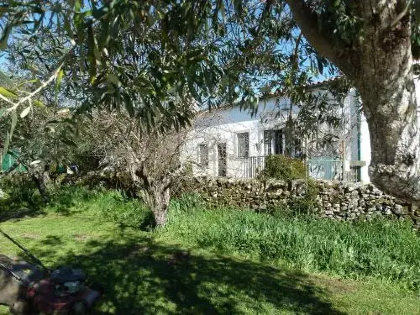 Bungalow Asseiceira