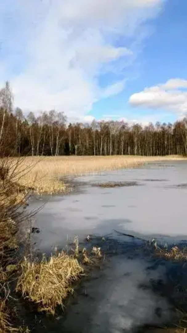 STF Hostel Kronobergshed