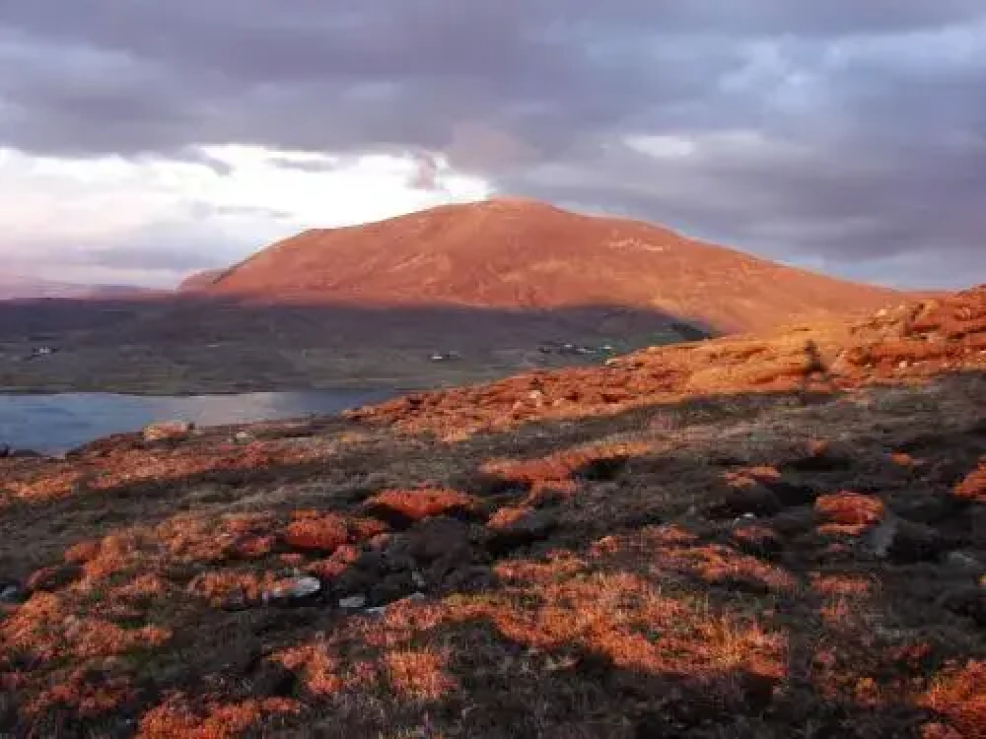 Bleanaskill Lodge & Achill Secret Garden