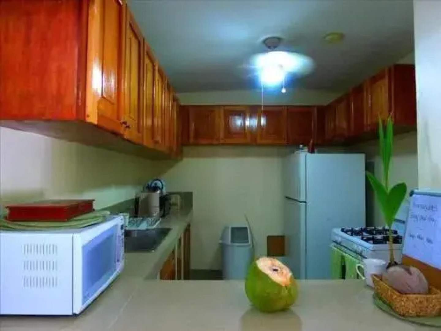 Hibiscus House Bed and Breakfast