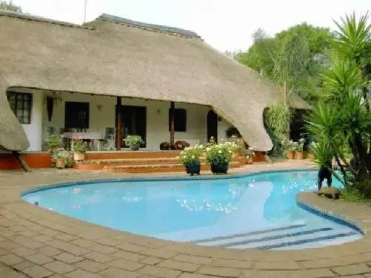 Guinea Lodge