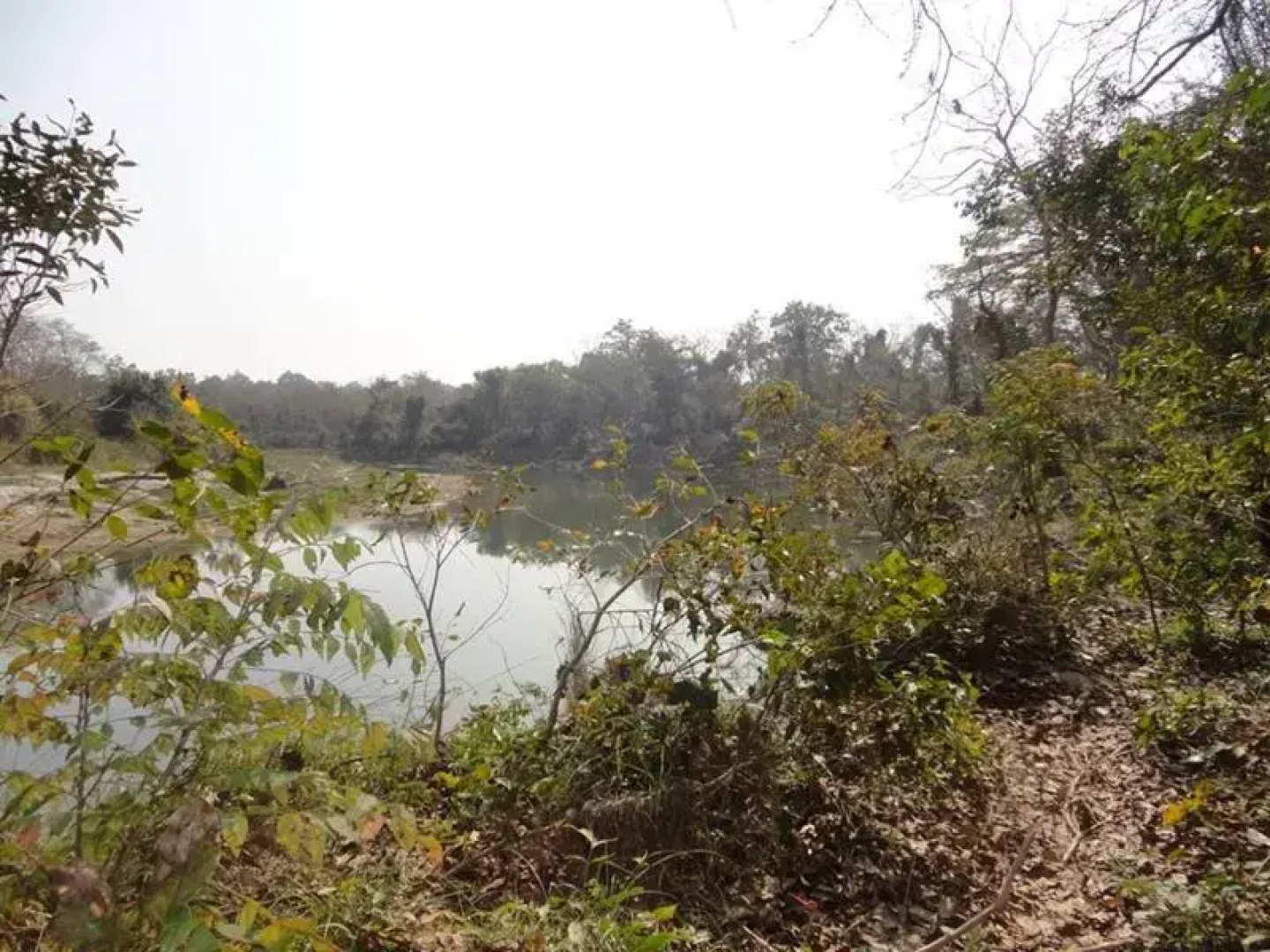 Karnali Jungle Camp
