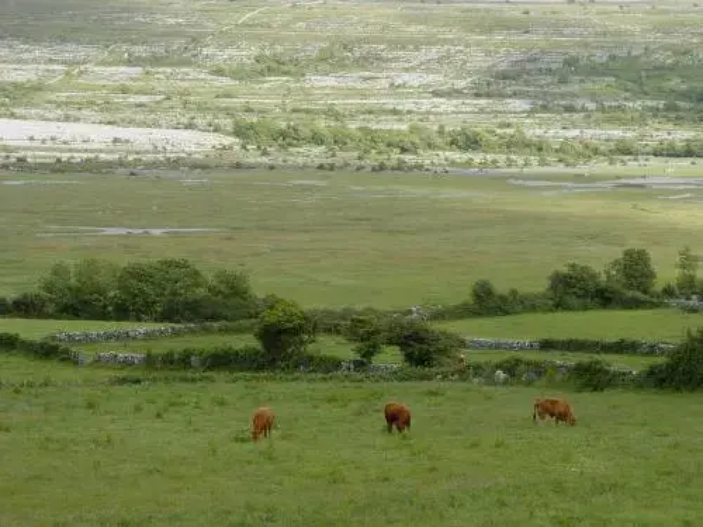 Clare's Rock Self-catering Accommodation