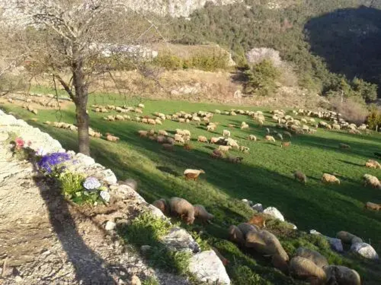 Ferme de Sejour Rebuffel