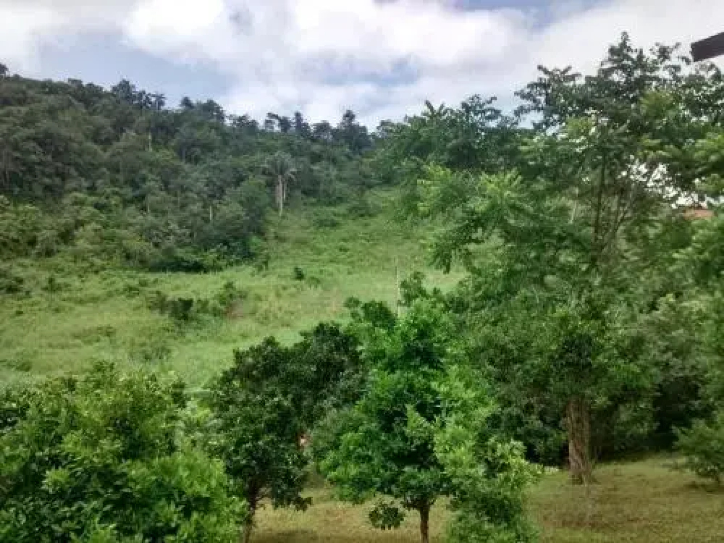 Pousada Vaca Brava