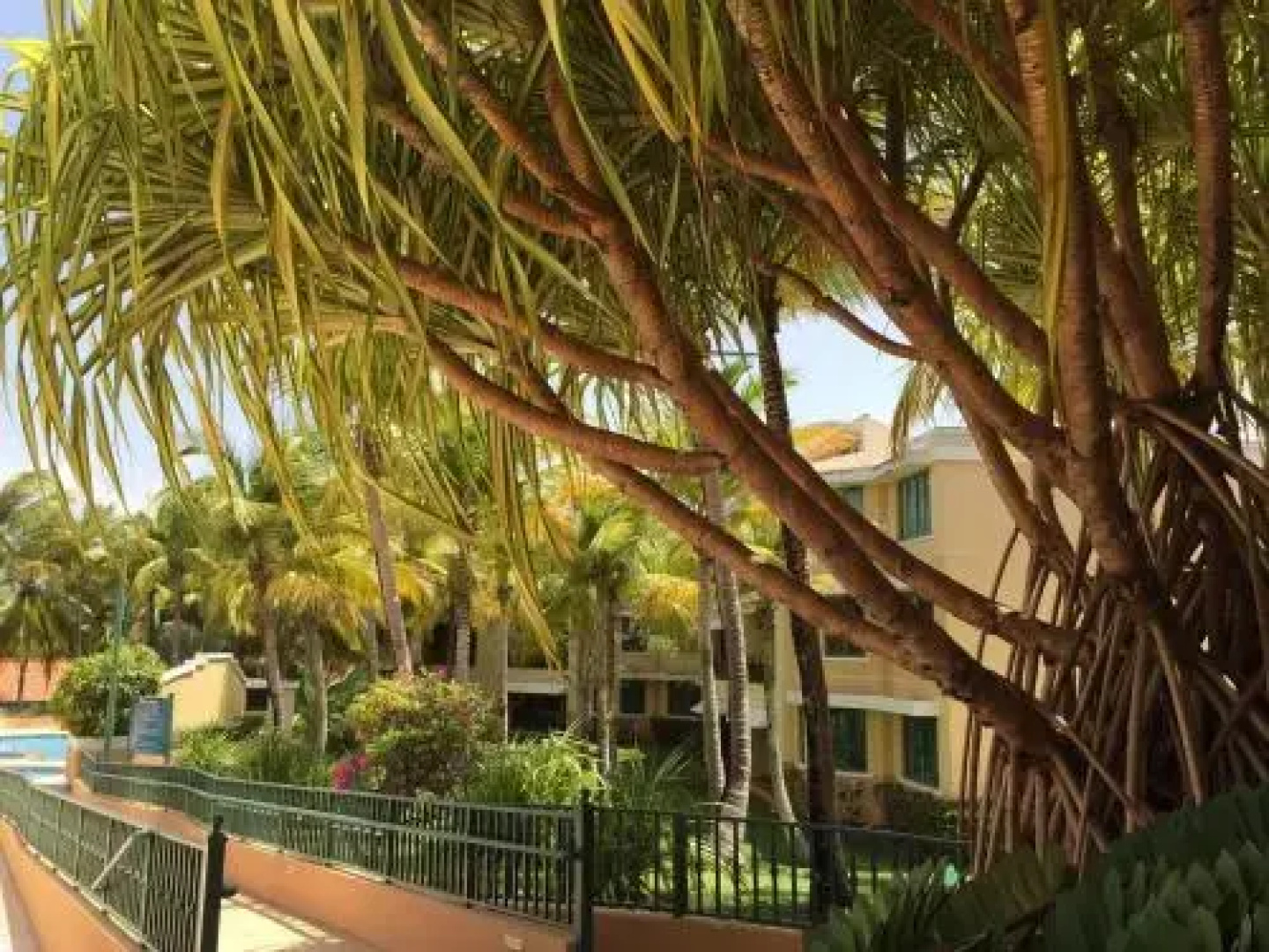 Luxury Apartment - El Dorado Club