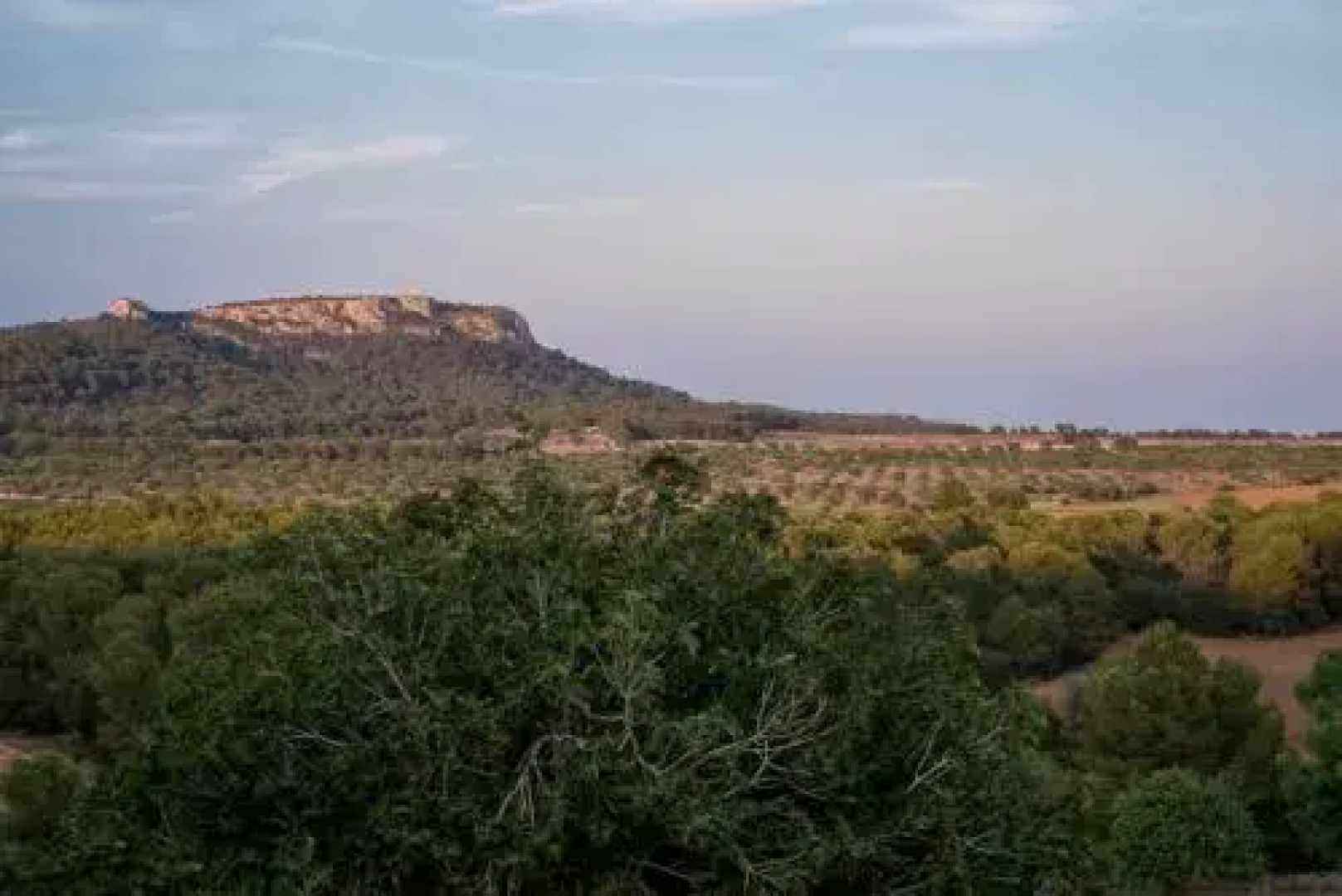 Finca El Puig