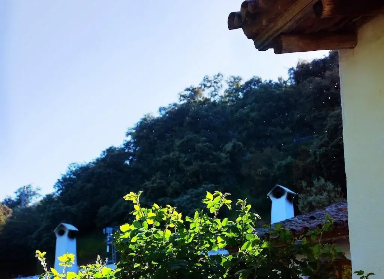 El Molino del Corcho