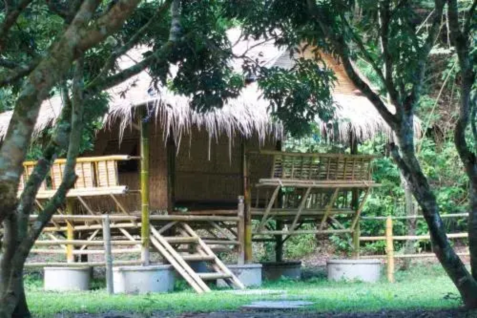 Cool Bananas Homestay