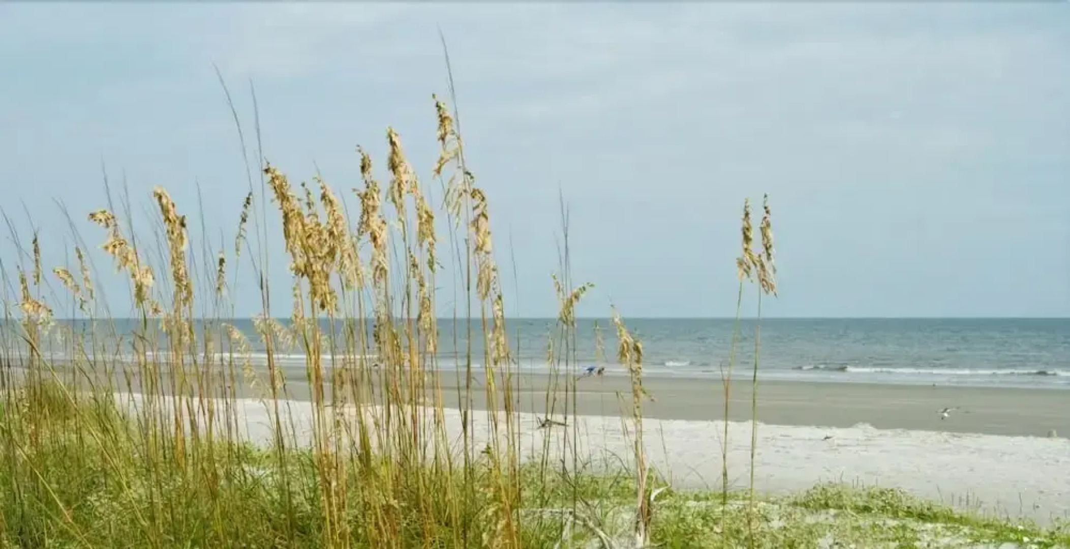 Shadowwood Villas 611