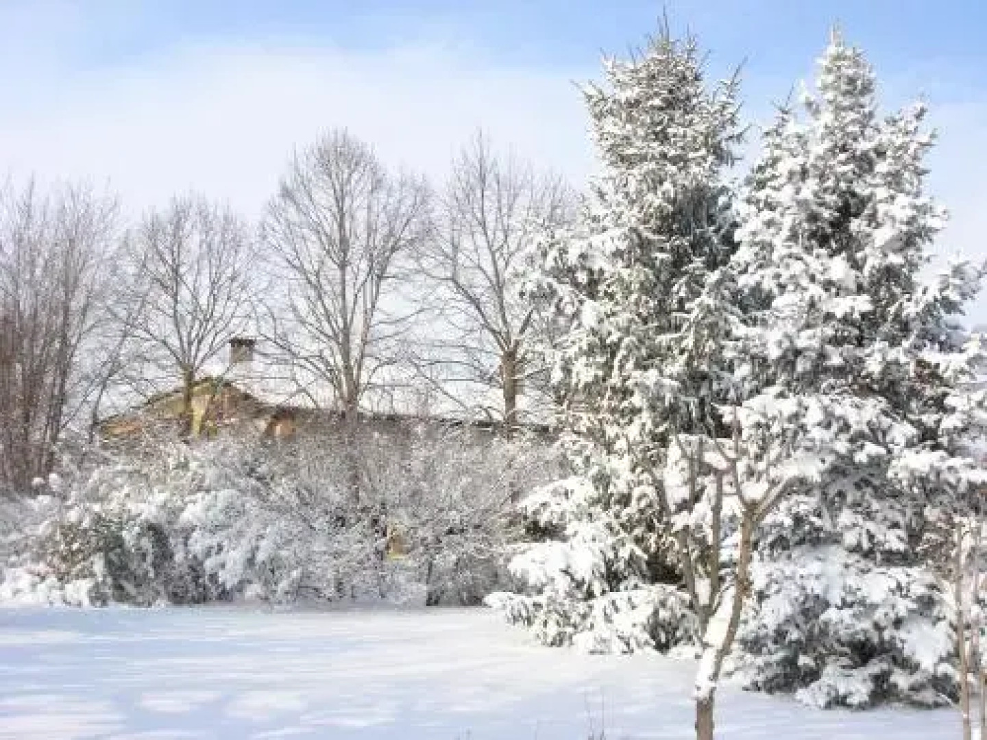 La Corte Del Cavaliere Bed & Breakfast