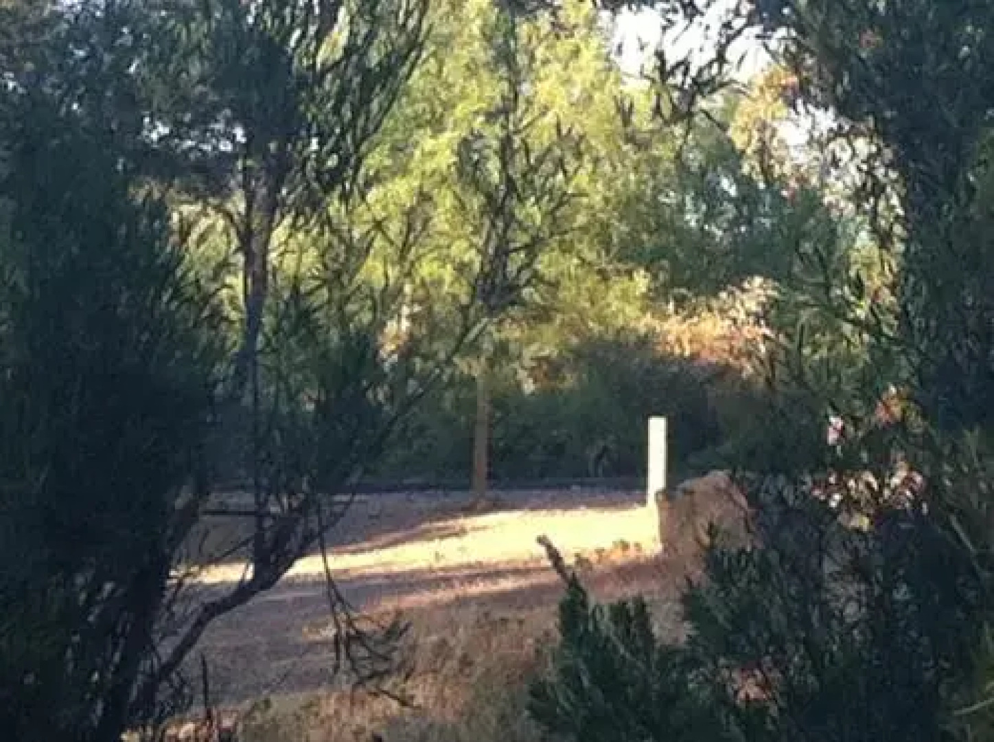 Apartamentos Rurales la Cañada