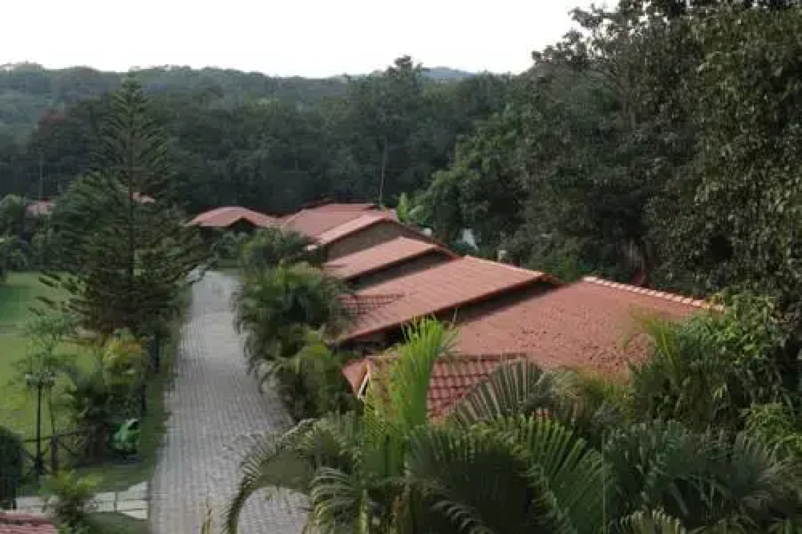 Shangri-La Jungle Village Resort