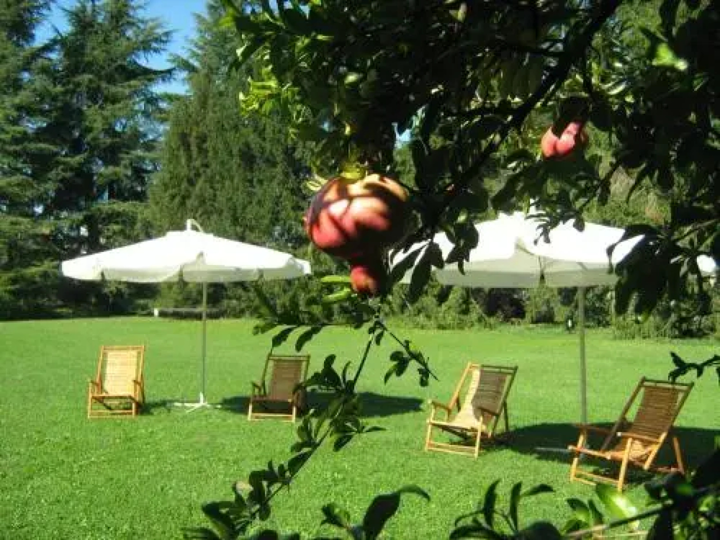 B&B Villa Miani