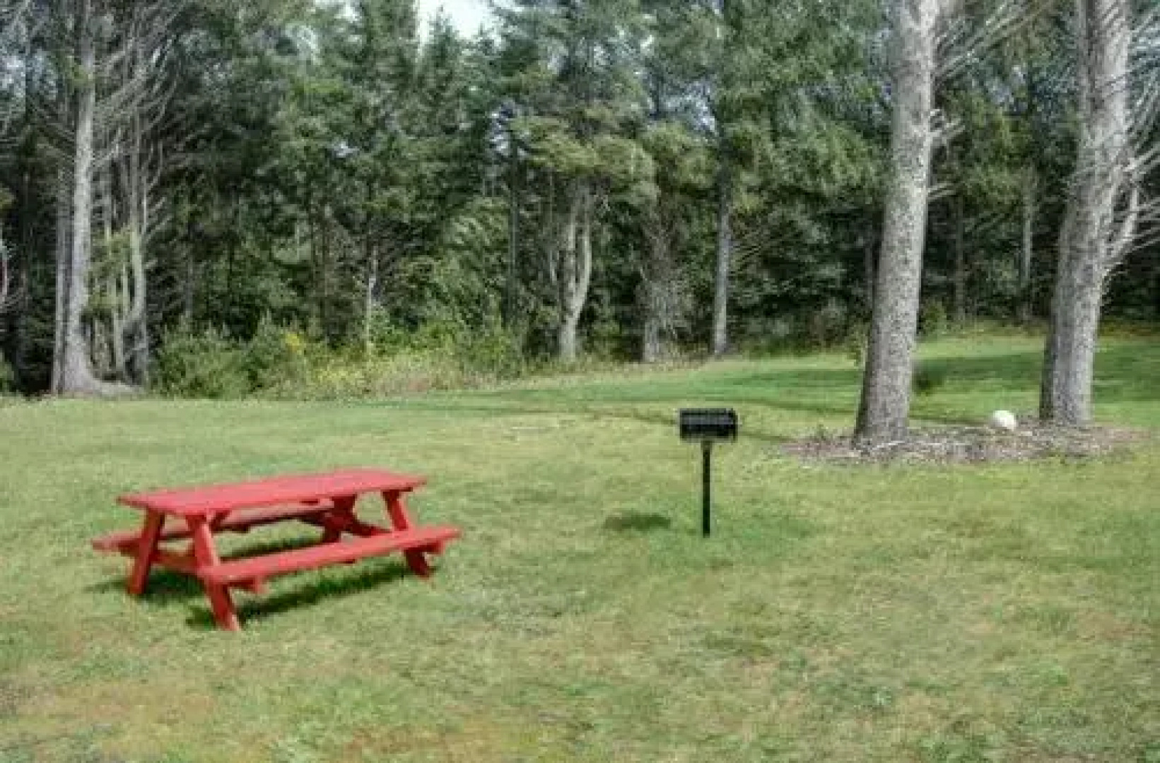 Somerville's Escape 4 Br home by RedAwning