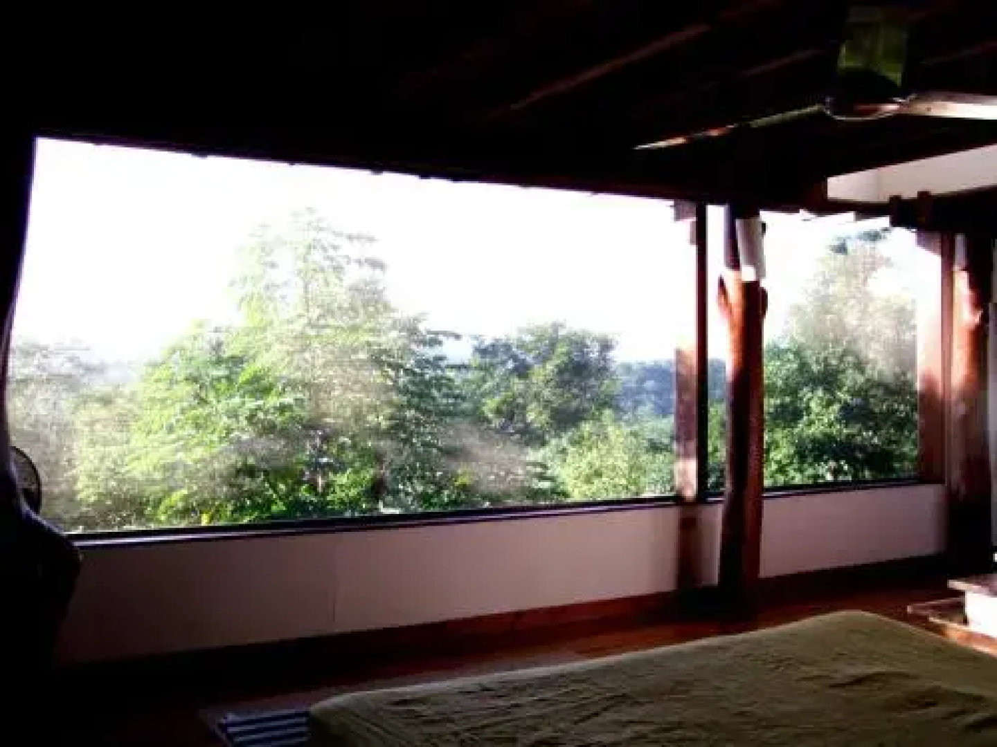 casa arbol