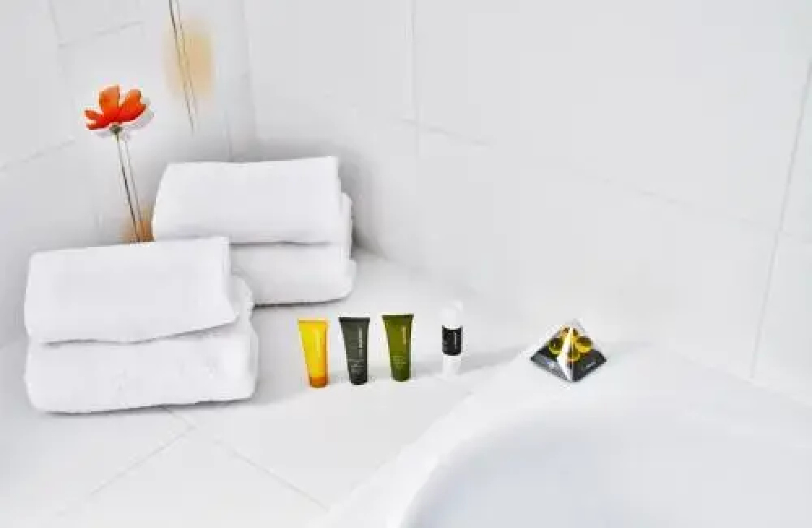 Lesanka Hotel & Wellness