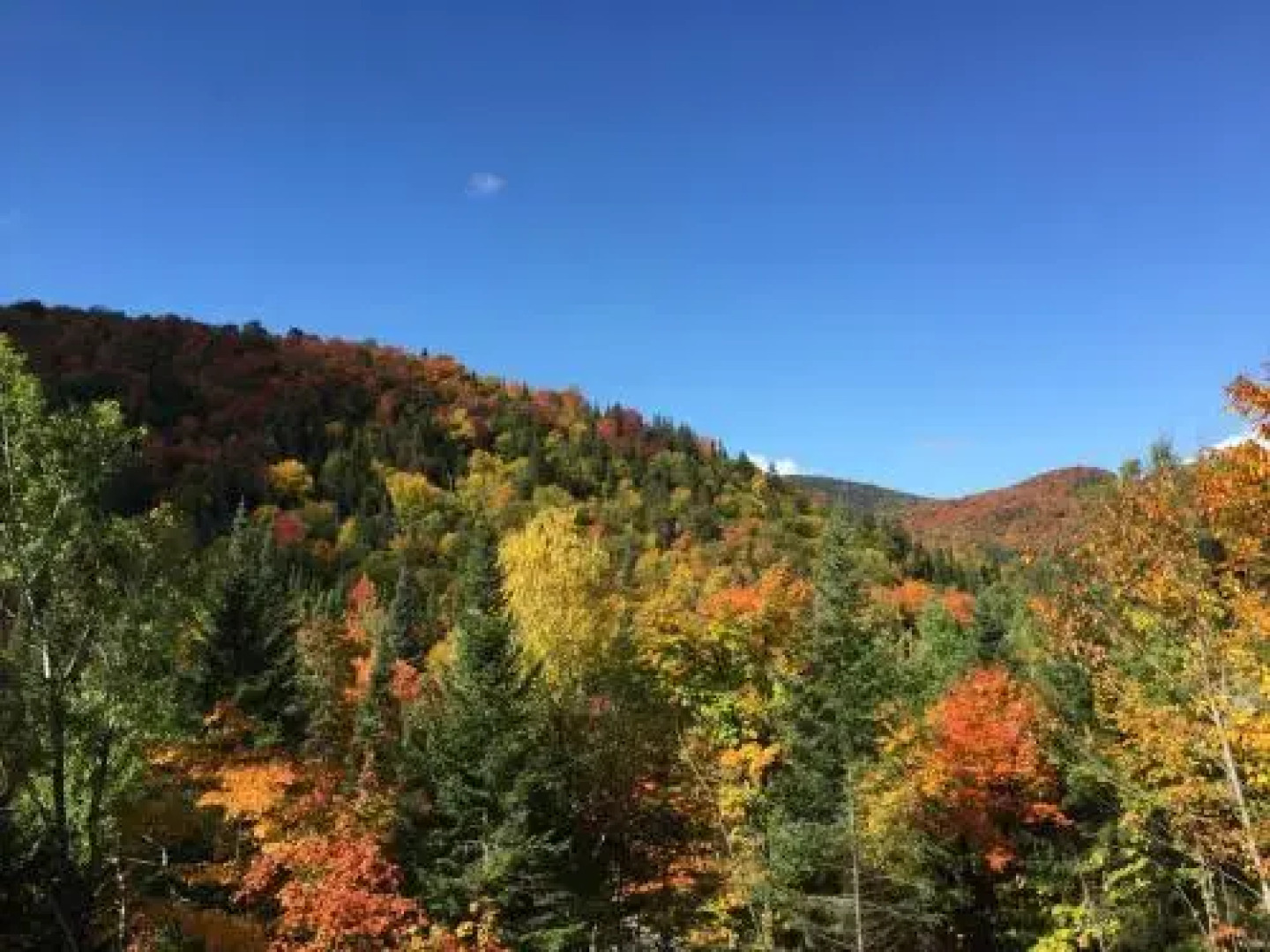 Lodge Nature Laurentides