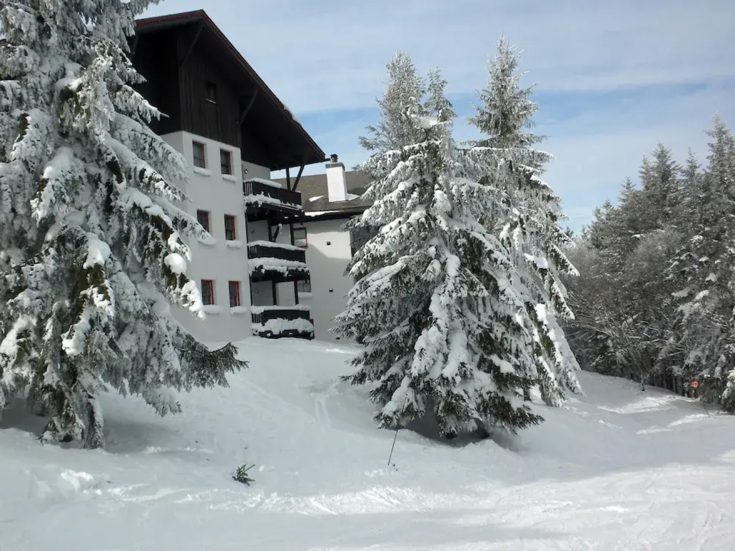 2 Br: Whistlepunk 11