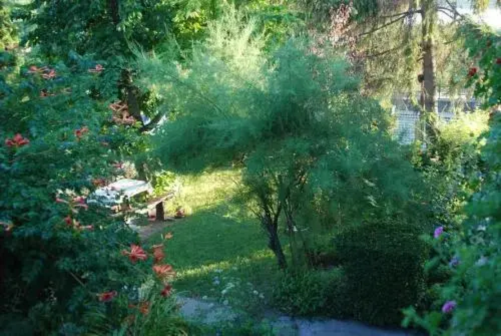 Flóra Apartman