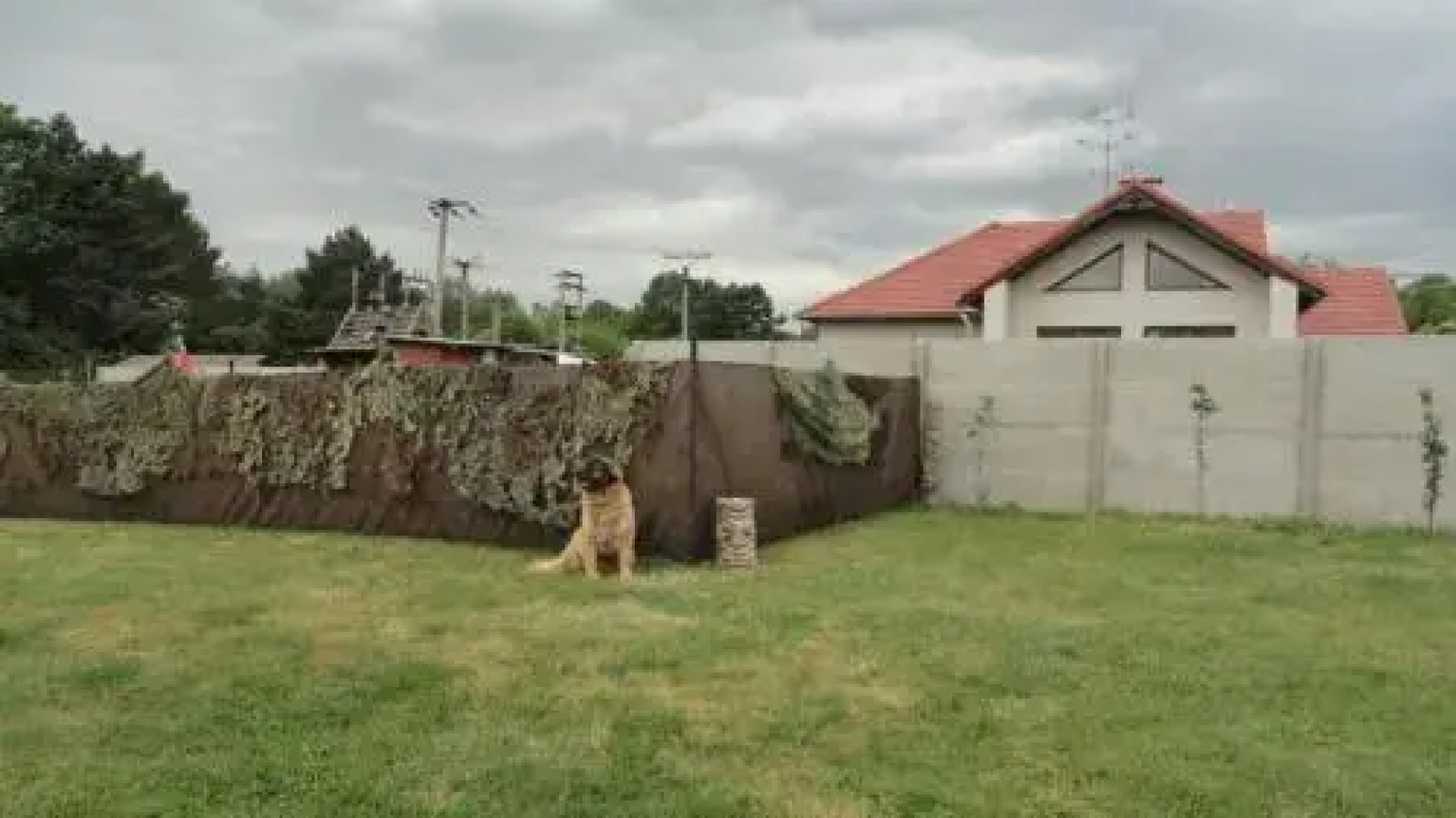 Pod Pálavou u Dyje Nové Mlýny