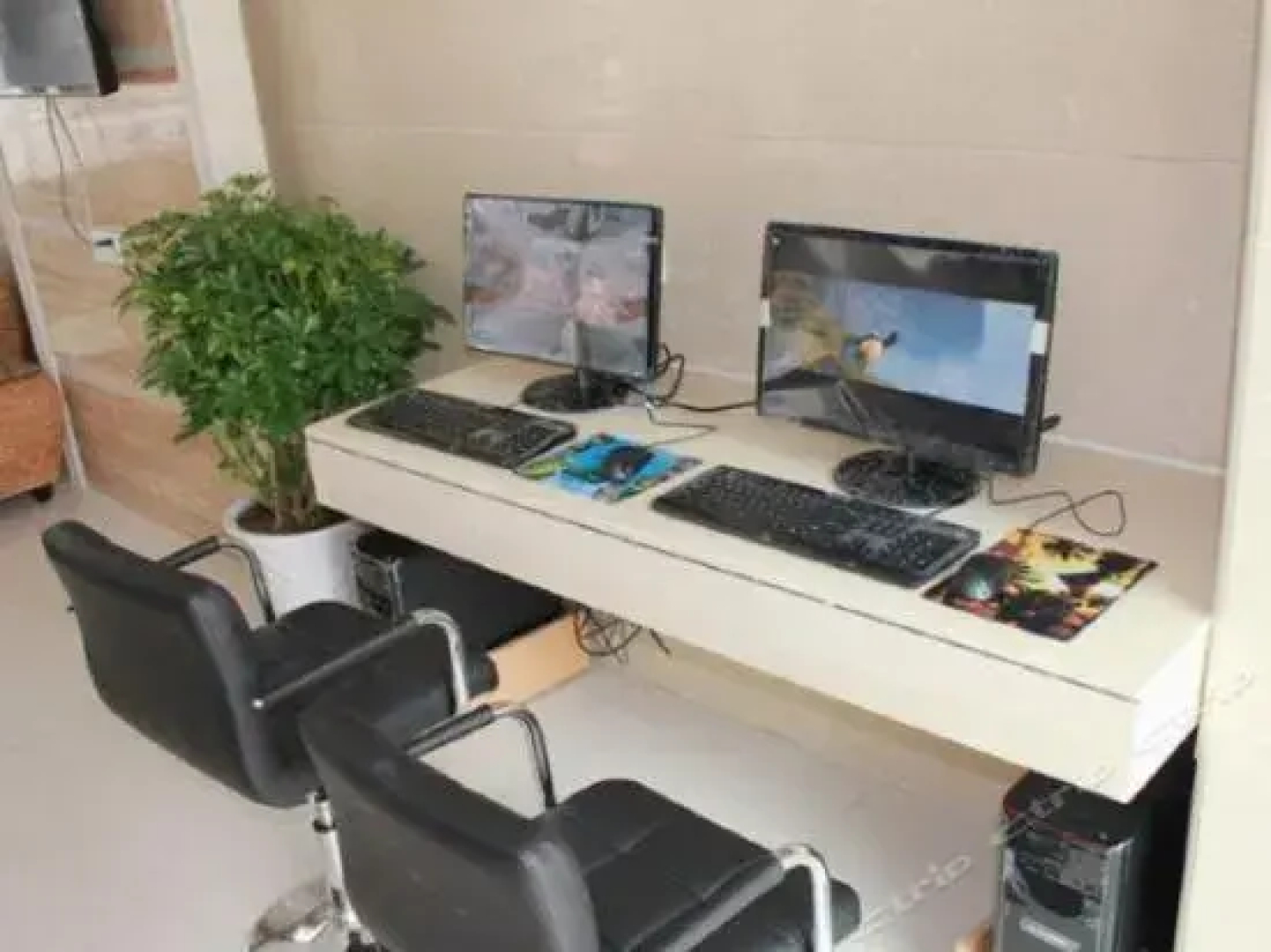 5 Yue Wudangshan Branch