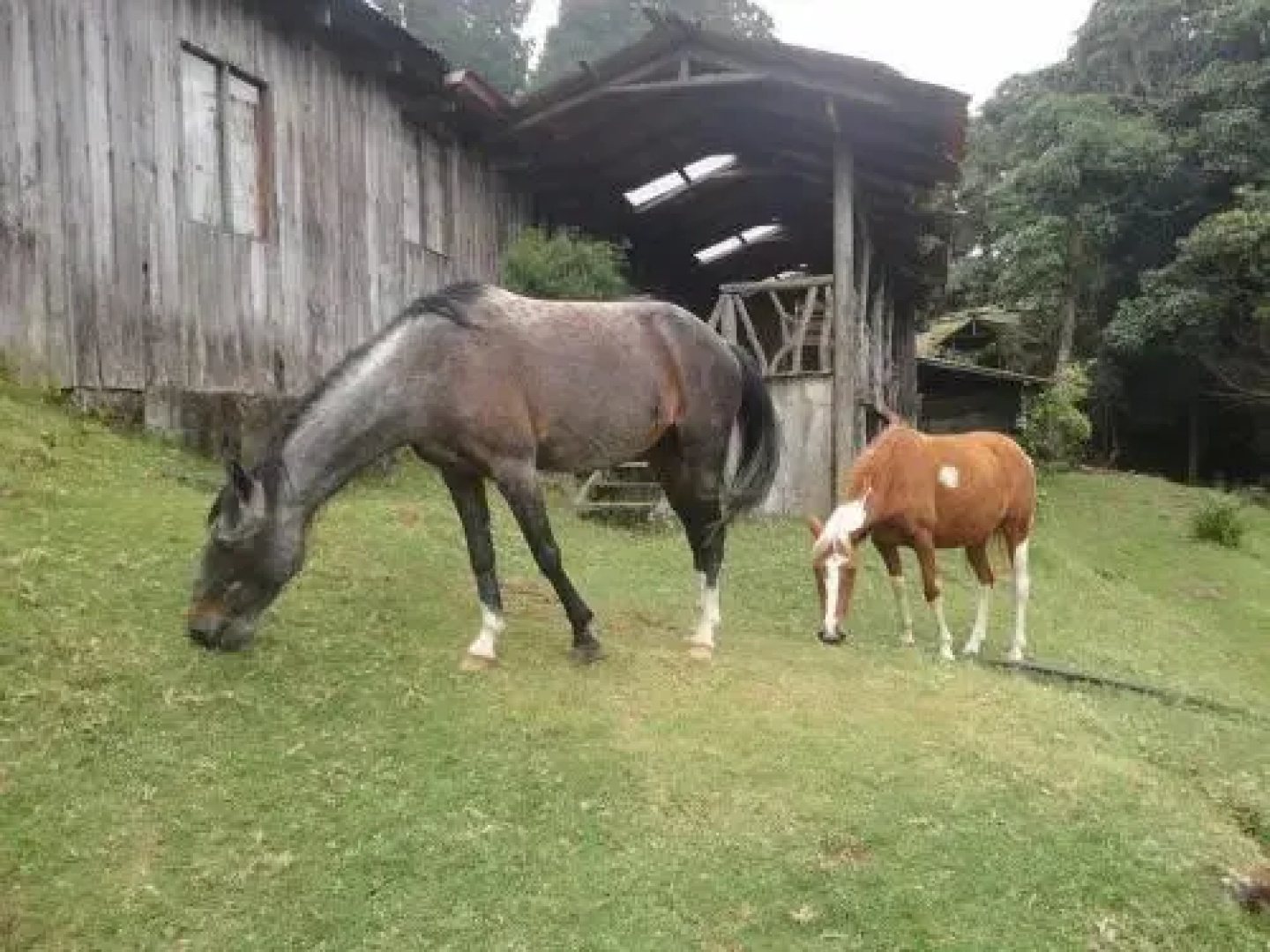 Lagunillas Lodge