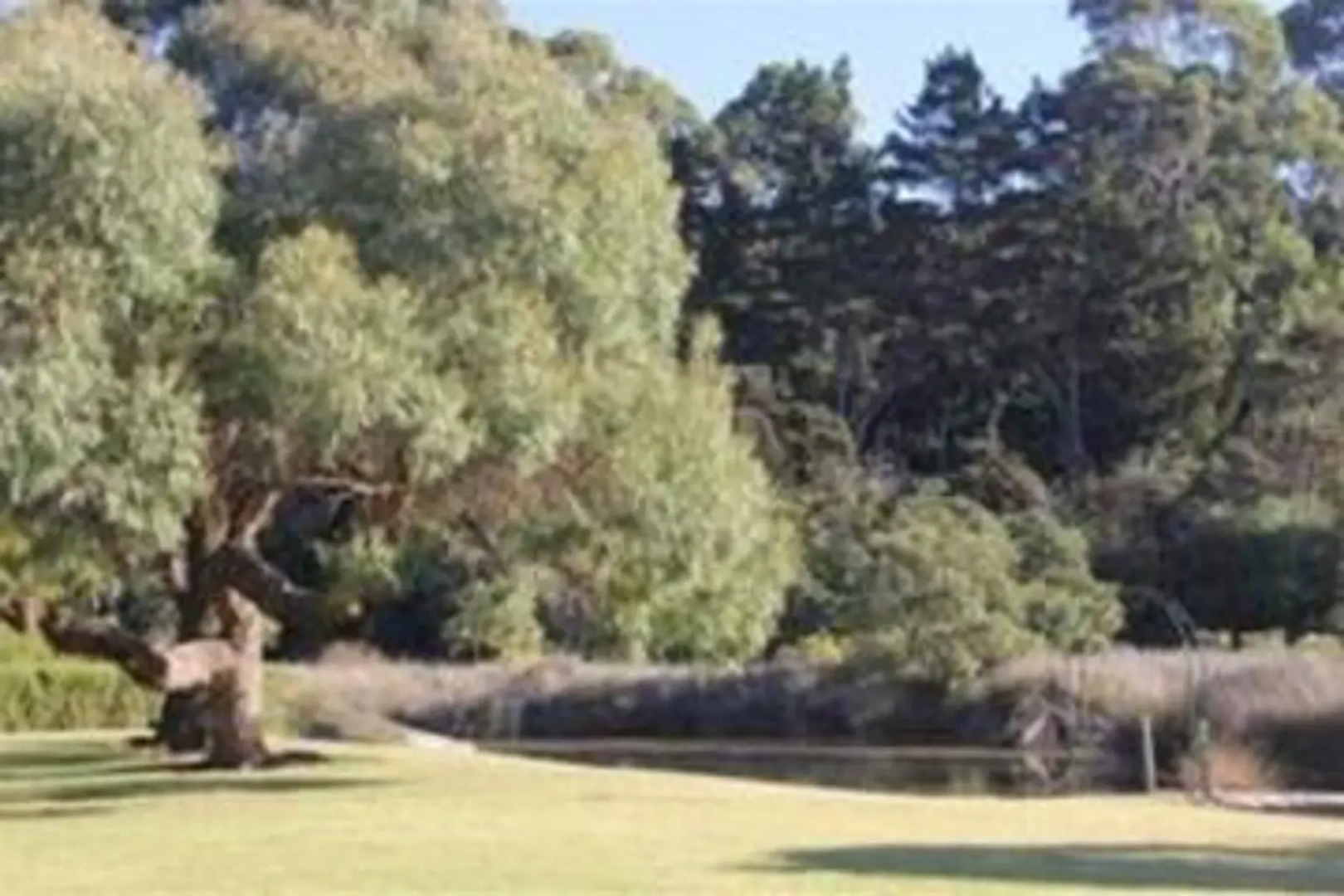 Tawharanui Lodge