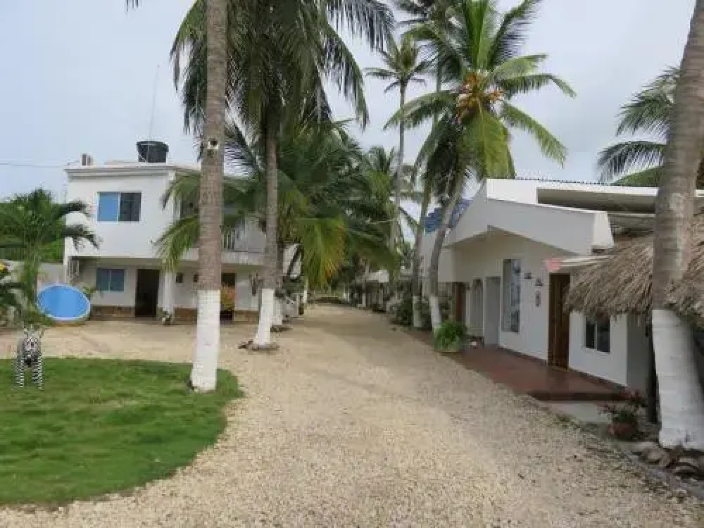 Hotel Salamandhra