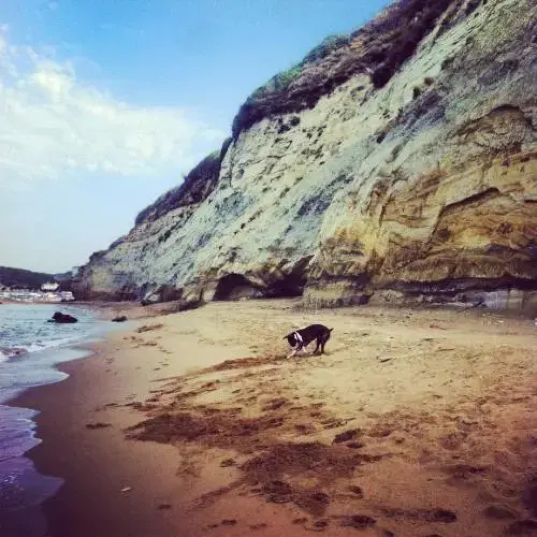 Nikos & Vivi Studios