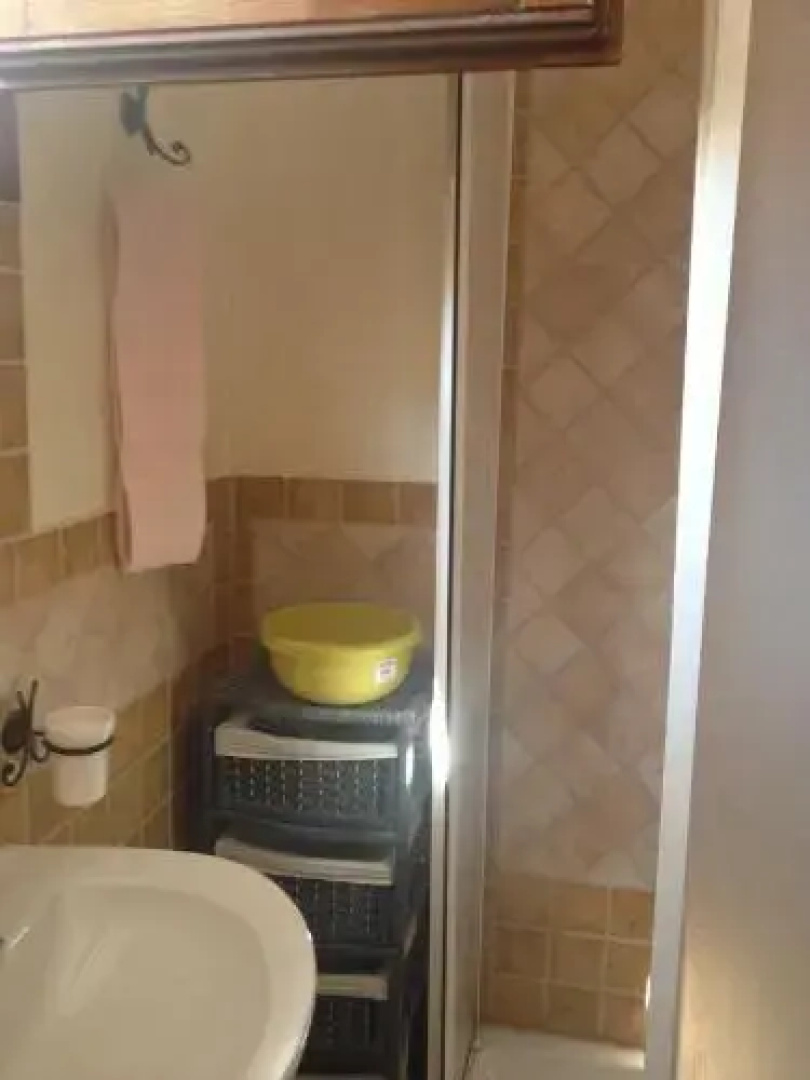 B&B Chorisia