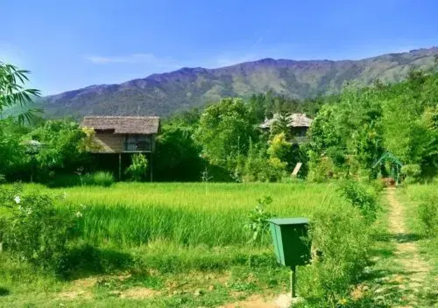 KTDC Tamarind Thirunelly