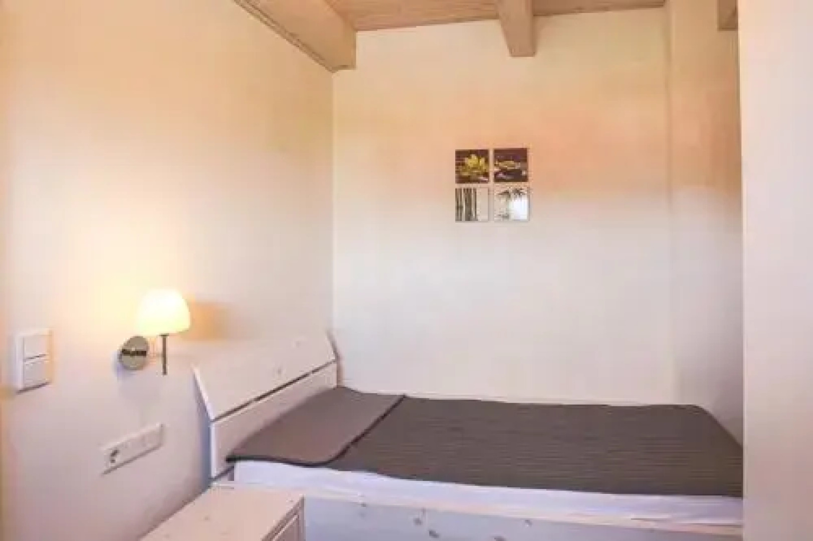 Ferienhaus - Basstölpel