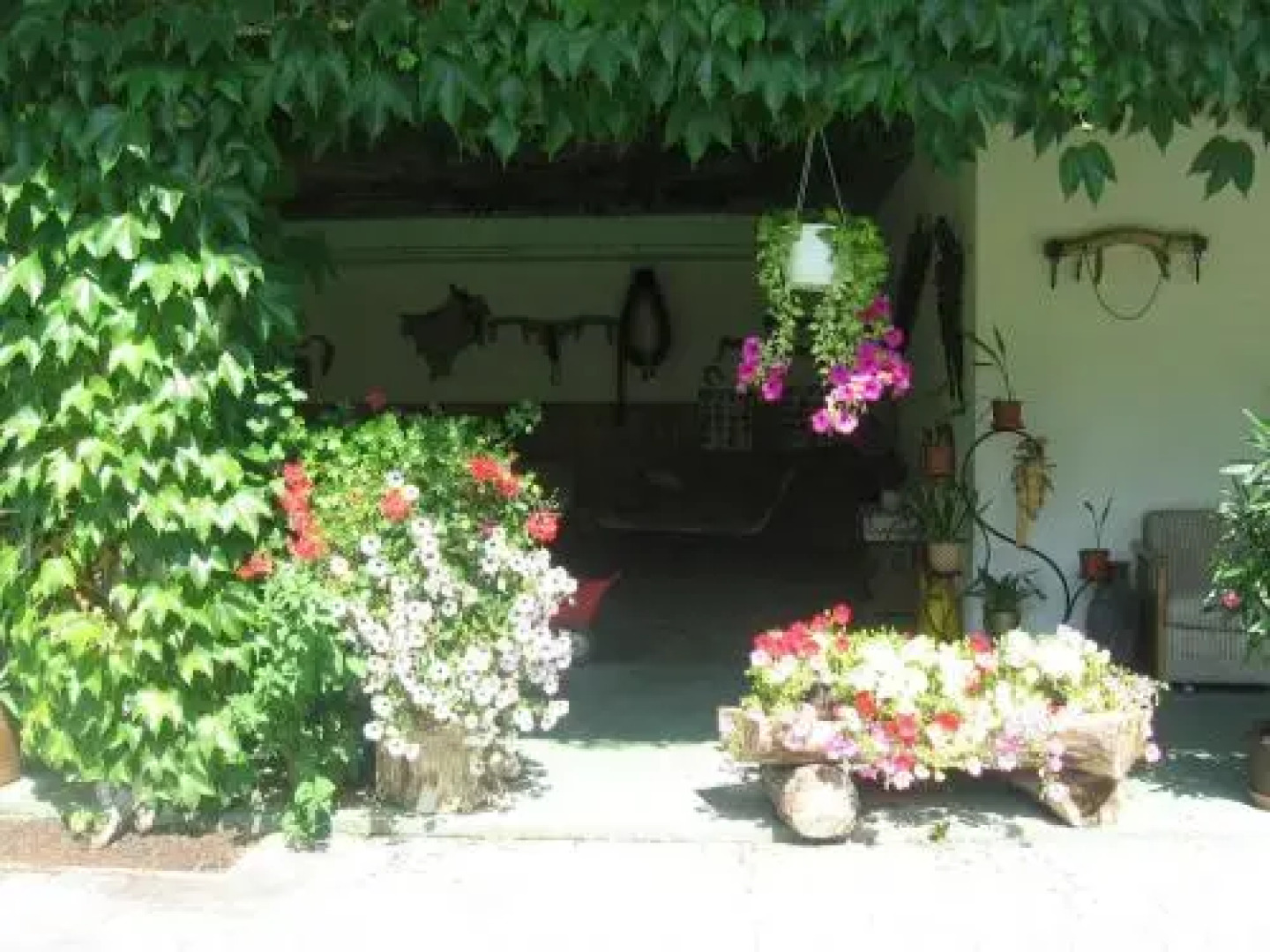 Appartment Harreiterhof