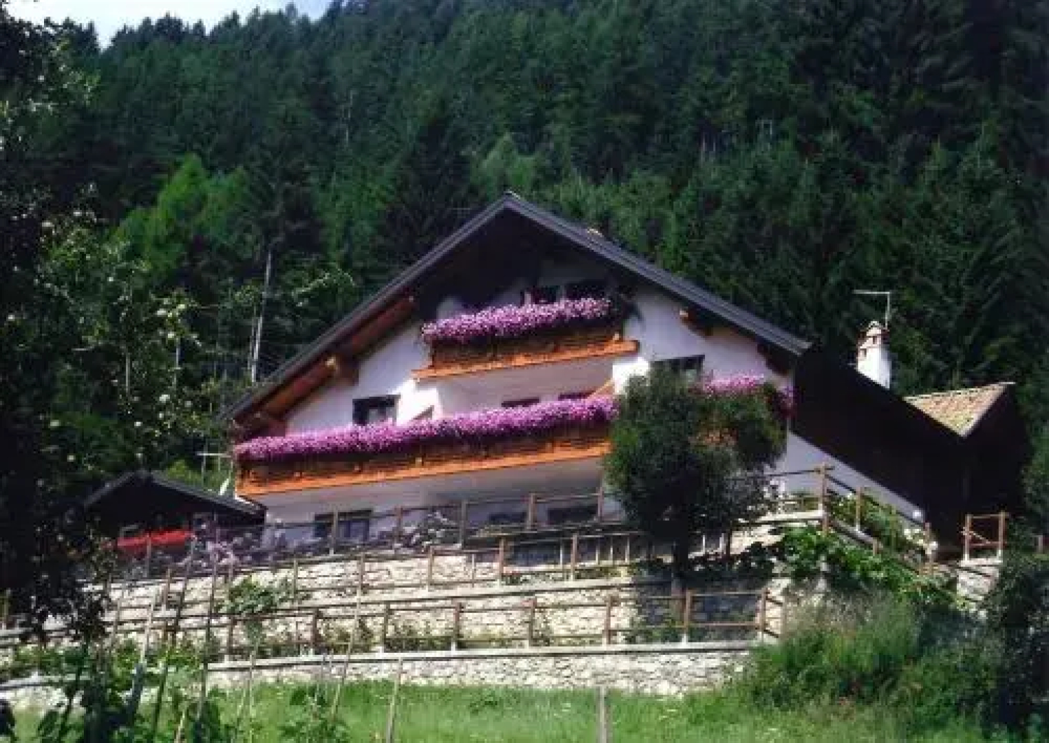 B&B Infiore