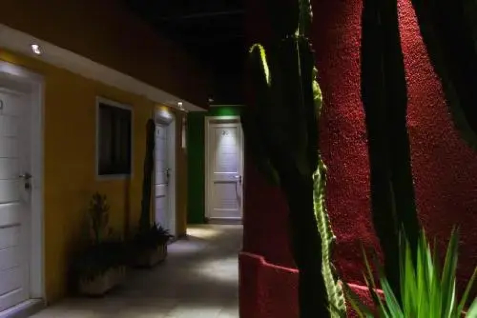 Hotel Atacama