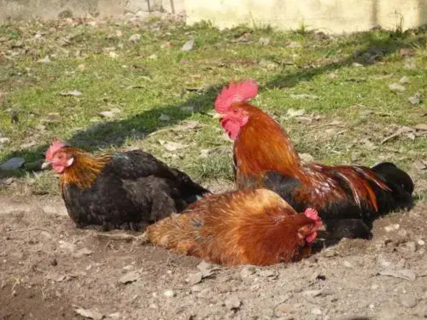 LAdele Bed & Breakfast